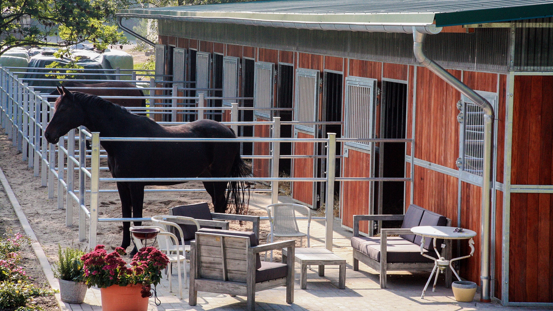 Boxen und Paddocks